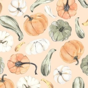 Watercolor Pumpkins + Gourds {Pale Light Orange} Small Scale