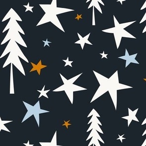 Wish Upon A Star - Midnight Blue Multi Large Scale