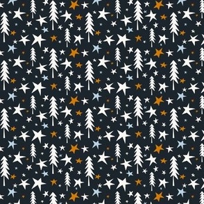 Wish Upon A Star - Midnight Blue Multi Small Scale