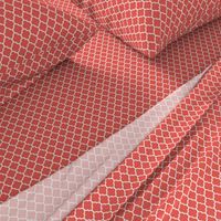 moroccan quatrefoil lattice in coral