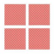 moroccan quatrefoil lattice in coral