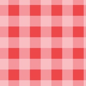 1" Gingham Plaid Check {Pink and Red}