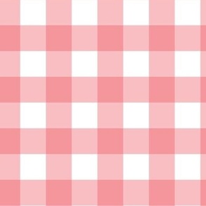 1" Gingham Plaid Check {Pink and White}