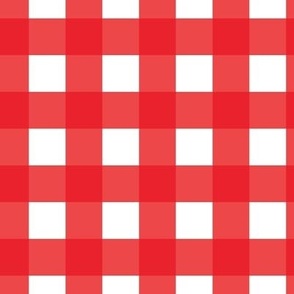 1" Gingham Plaid Check {Red and White}