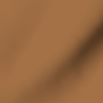 Pantone 16-1438 tcx  hexcode Spoonflower  a47045Solid color orange brown terra color pantone name meerkat 