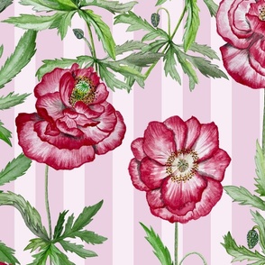 shirley poppies on stripes - pastel pink
