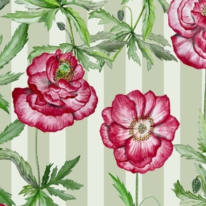 shirley poppies on stripes - soft mint