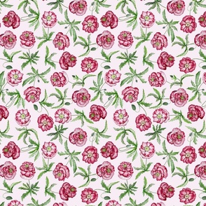 poppies multi direction - pastel pink