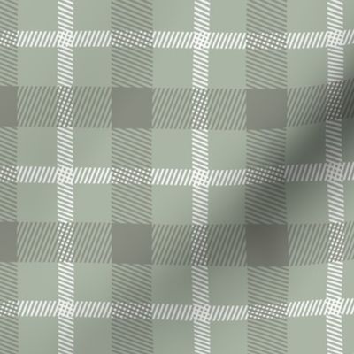 Wild west traditional retro gingham plaid design christmas texture tartan sage green white gray