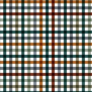 Little winter plaid gingham and boho vibes plaid tartan design minimalist basic checkered squares in rust green blue on white