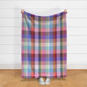 plaid rainbow 1b JUMBO