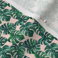 watercolor monstera leaves blush pink small scale