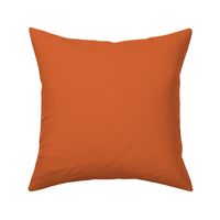 Pantone 16-1260 tcx - Hexcode D56231Solid color orange pantone name harvest pumpkin 