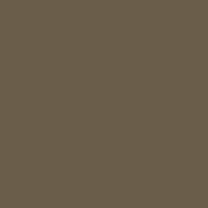 Pantone 18-0820 tcx - Hexcode 6a5e4b Solid color dark brown pantone name capers 