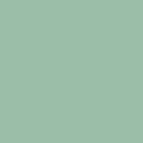 pantone 14-6011 tcx - hexcode 9bbea9 Solid color green light pantone name Grayed jade 
