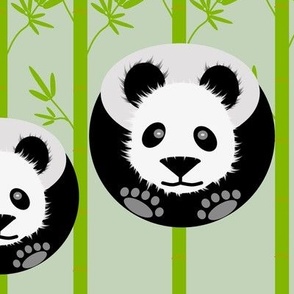 Panda Fabric SF Ch