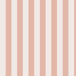Vertical Awning Stripe Pattern - Champagne and Blushing Rose