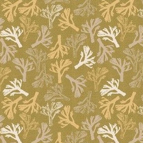Funghi disty blender ´Khaki and Cream pale gold Small scale