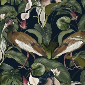 Beautiful birds and tropical plants