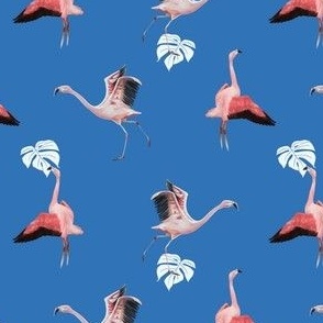Two flamingos on blue