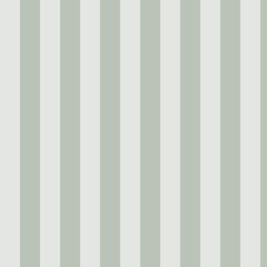Vertical Awning Stripe Pattern - Lilly White and Grey Rainmist