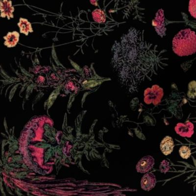  Adolphe Millot Vintage Black Floral