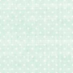 Smaller Scale Soft Mint Linen Texture and Polkadots Pale Pastels Sweet As Can Bee Nursery Coordinate