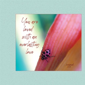 You are loved,  pink ladybug, scripture, wall hanging, pillow panel