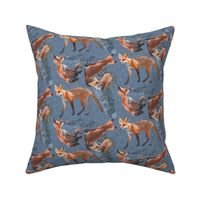 Young Foxes on Slate Blue Background