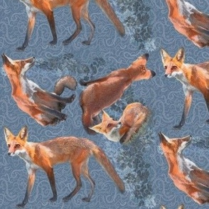 Young Foxes on Slate Blue Background