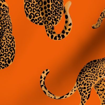 LEOPARD WITH ORANGE BACKGROUND