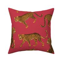 NEW LEOPARD WITH CARNATION PINK BACKGROUND