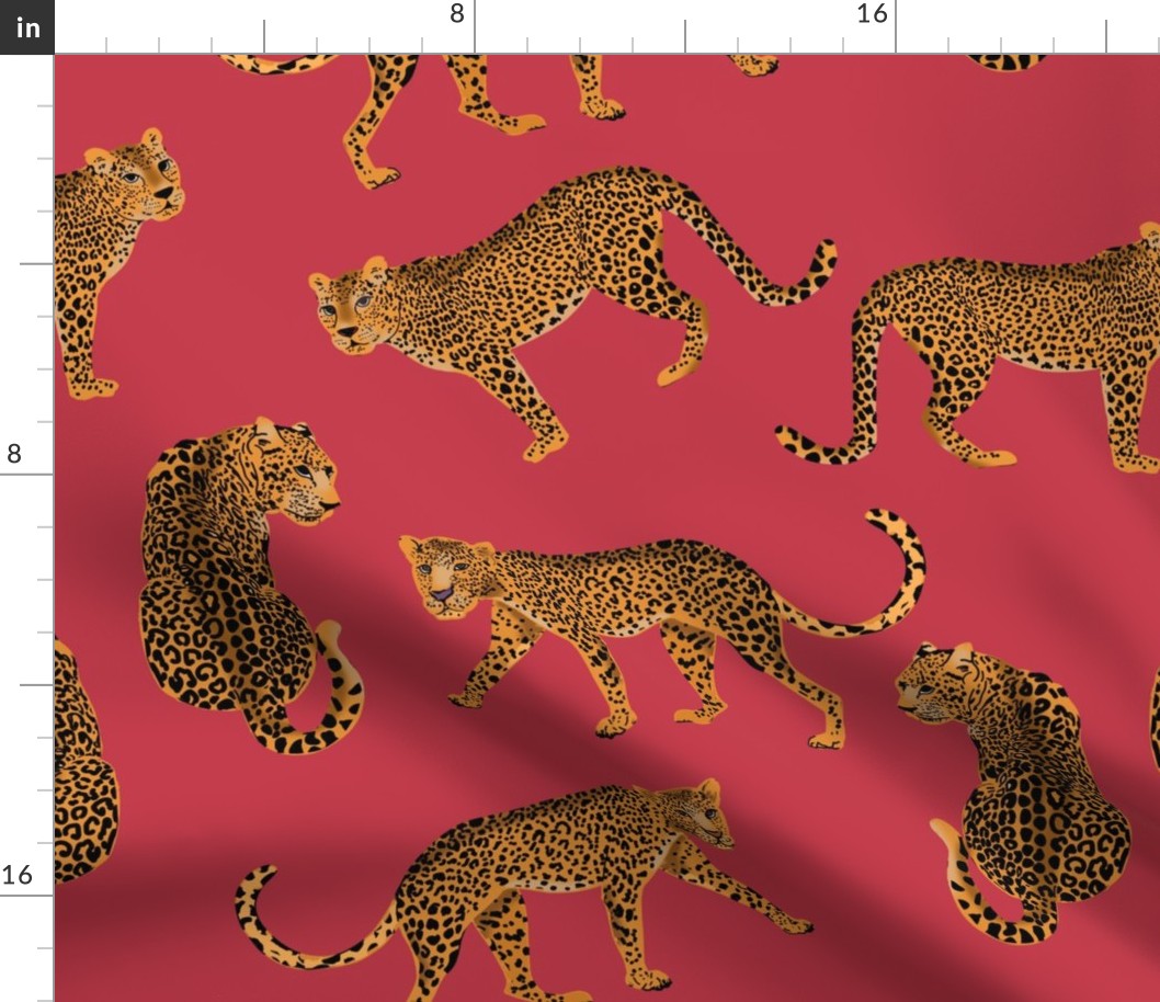NEW LEOPARD WITH CARNATION PINK BACKGROUND
