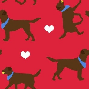 Chocolate Labs in Red