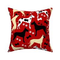 Great Danes in Red