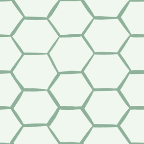 Simple green hexagons, honeycomb