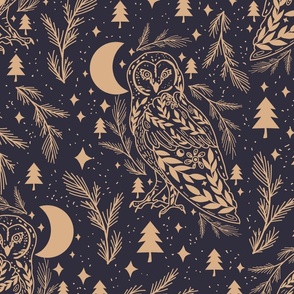 Magical Nocturnal  Owl 