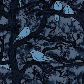 Birds in trees (Night time)