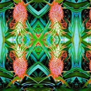 The Magic Cabinet of Surreal Tropical Pineapples (#5)