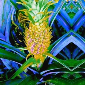 The Magic Cabinet of Surreal Golden Pineapples (#7)