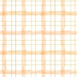 Watercolor Gingham in Peach 3x3