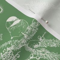 Holiday Traditions Toile White on Green