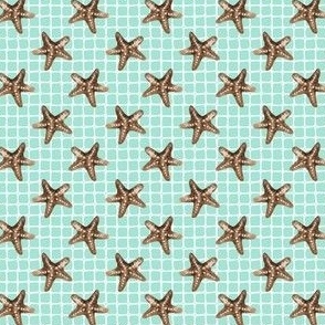 Starfish (pool)