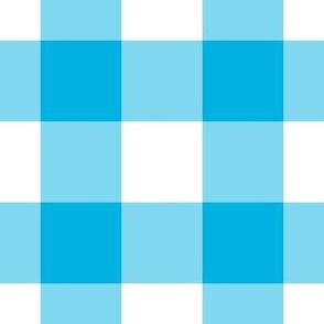 Jumbo Gingham Pattern - Cerulean and White