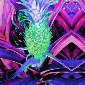 The Magic Cabinet of Surreal Enchanted Pineapples (#8)