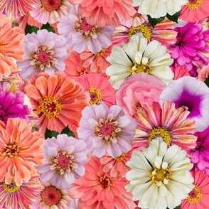 Colorful Zinnia Flower Bouquet