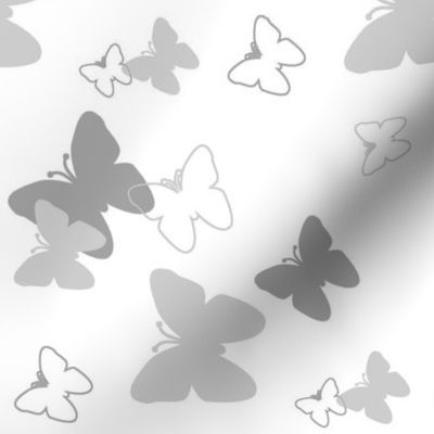 Butterfly Gray