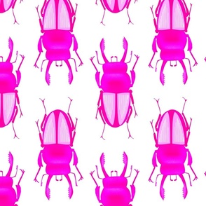 Neon Pink beetle bugs amazing punk large glow insects cool