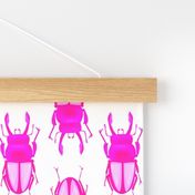 Neon Pink beetle bugs amazing punk glow insects cool