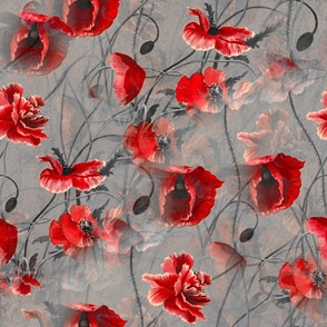 Poppies.Poppy flowers ,floral pattern 